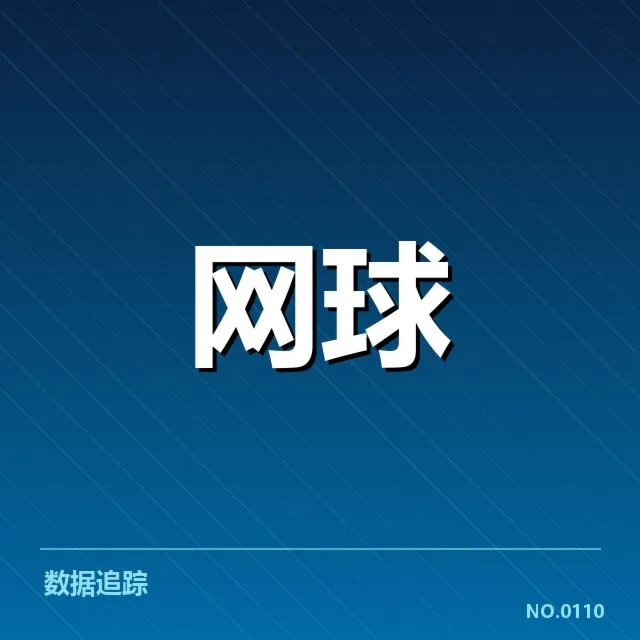 李娜伤后助教调度：团队决策面临怎样考验